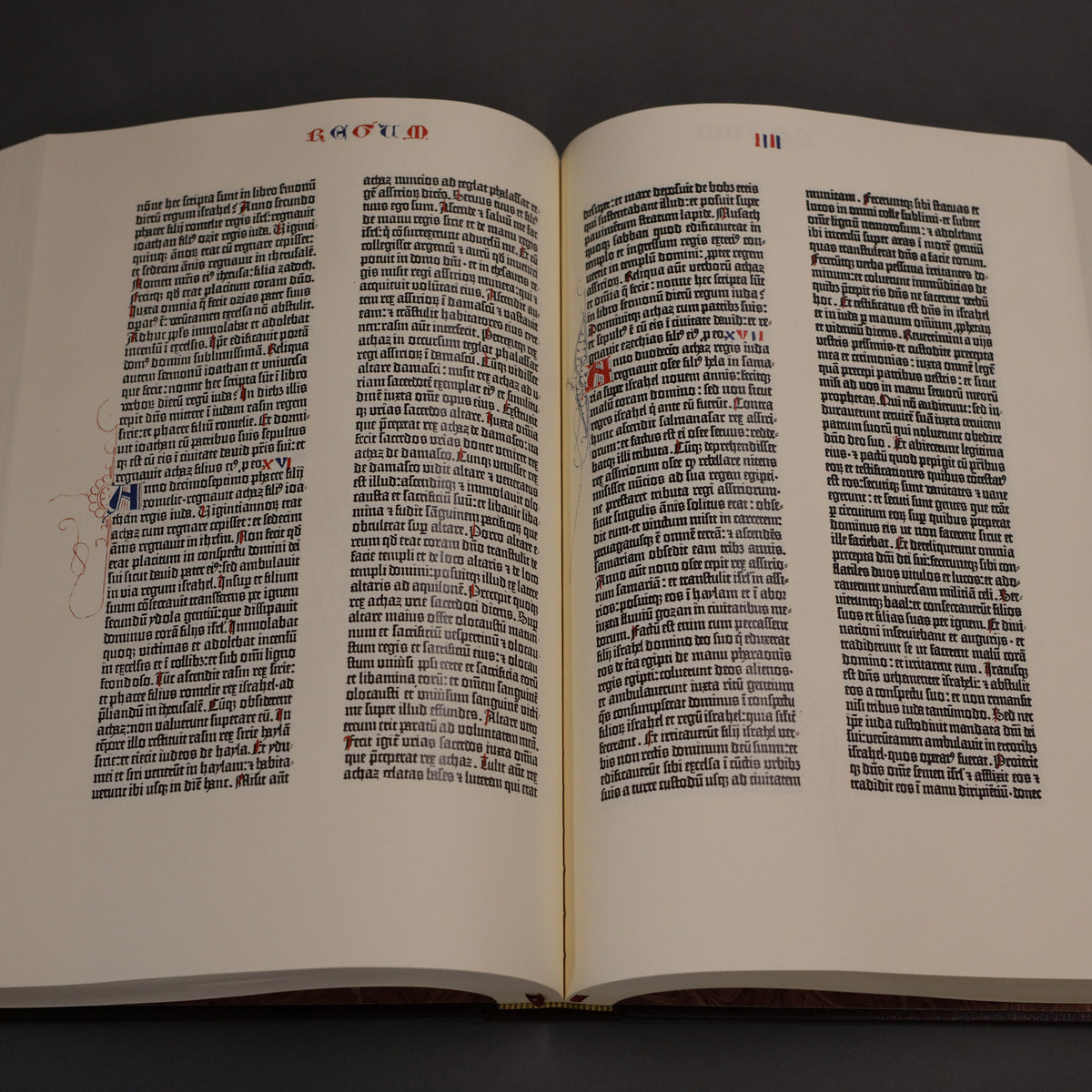 The Gutenberg Bible - 1455 Insel Verlag Edition Facsimile 2-Volume Set Carroll Revelation Vino (Burgundy) Leather