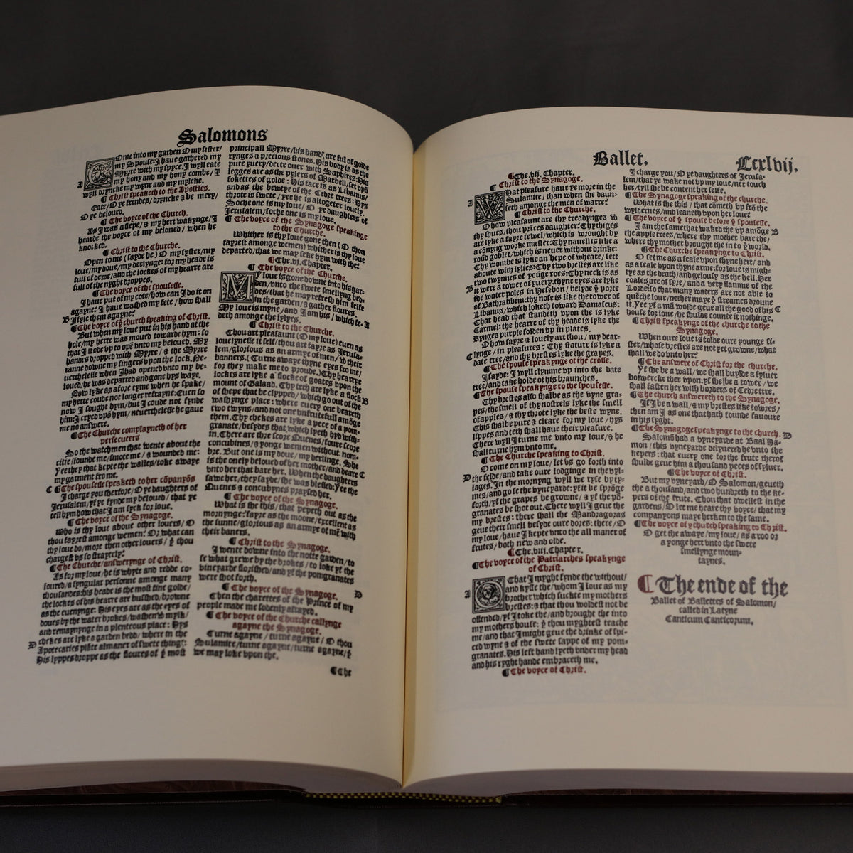 Matthew&#39;s Bible - 1537 Facsimile Carroll Revelation Vino (Burgundy) Leather